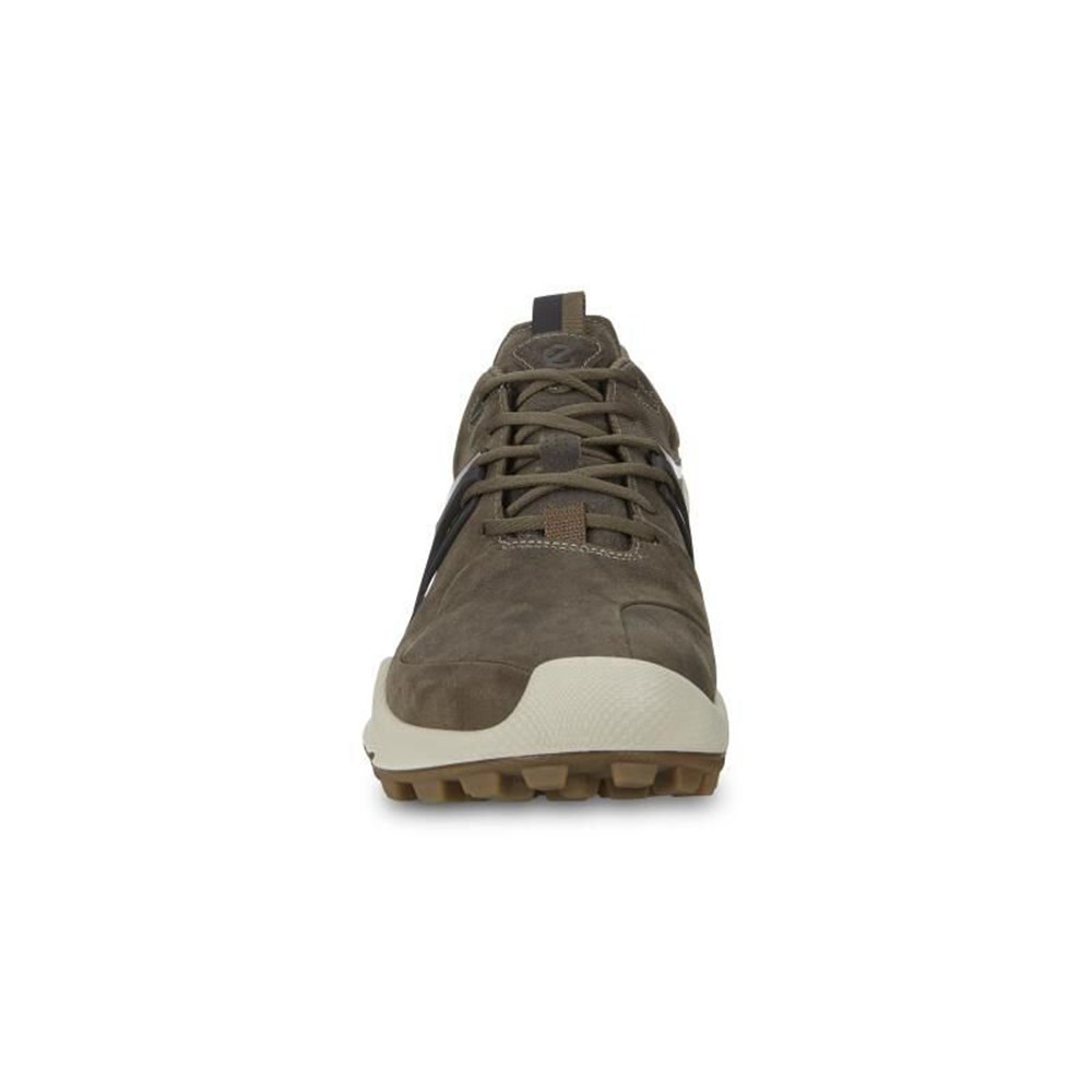 ECCO Womens Hiking Shoes Brown - Biom C-Trail Low - MEW-265917